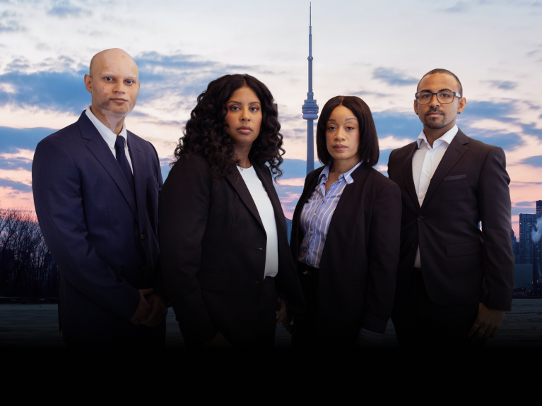 Lewis Litigation team